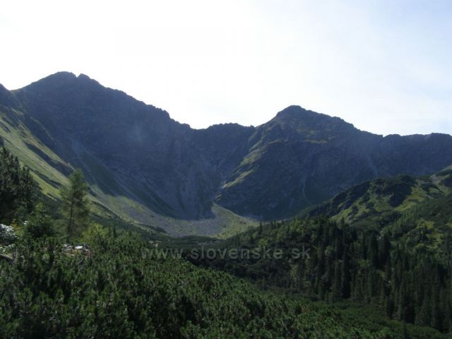 Roháče