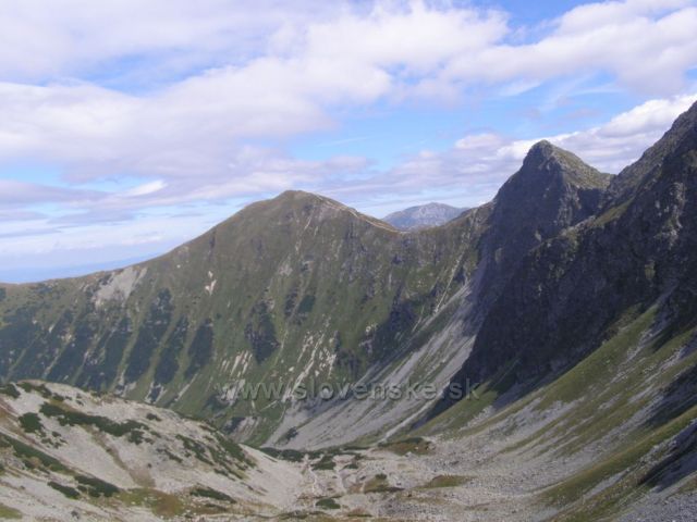 Roháče