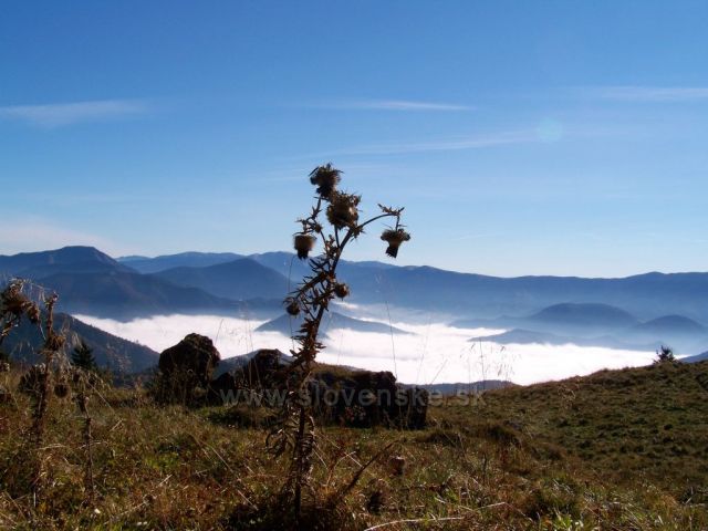 odpočinek pod Rakytovem a pohledy plné obdivu.....