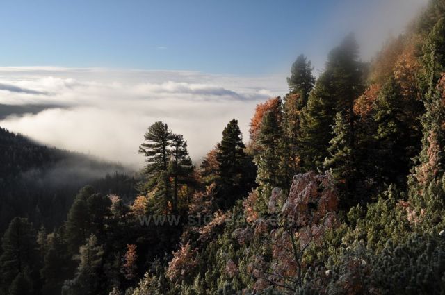 Cestou z Popradského plesa