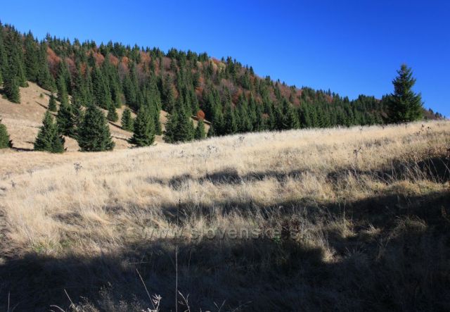 Malý Rozsutec a jeho výhledy