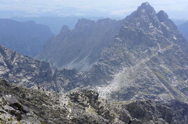 Z pozice (již) mrtvého brouka s nadhledem...