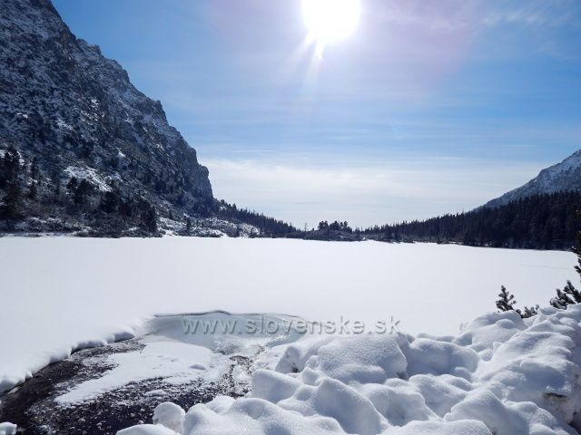 P. pleso