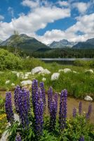 Štrbské pleso