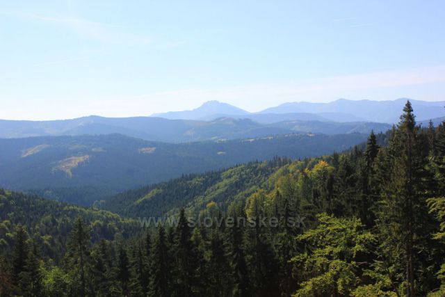 Oravská lesná