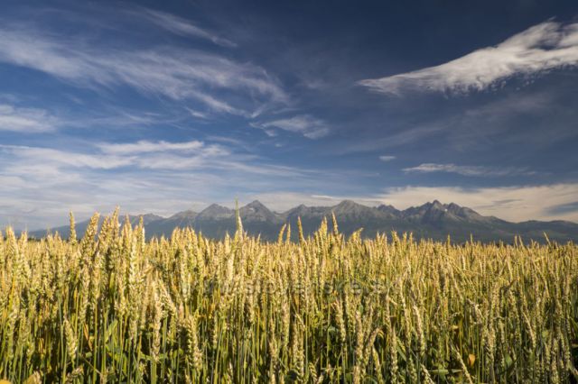 tatry