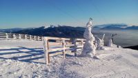 Pohled za jasného dne z Martinských holí 1475m n.m. na Velký Kriváň a Nízké Tatry v pozadí.