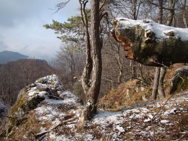 Súlovské skály