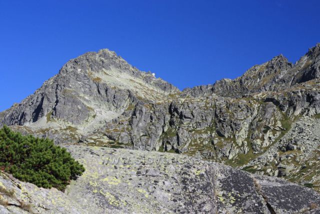 Mlynické panorama