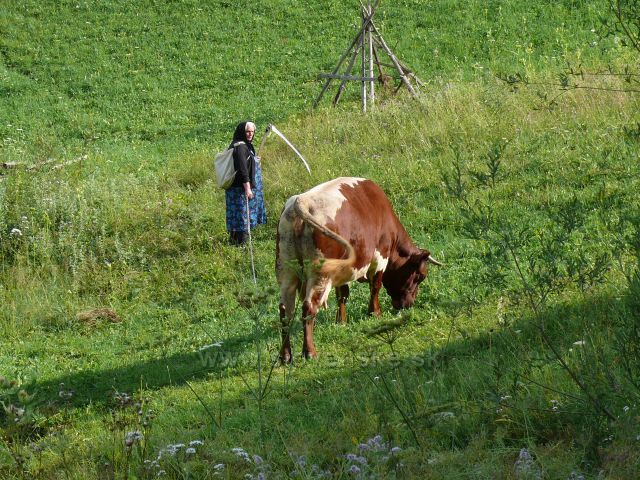 Ta si pro nás přijde