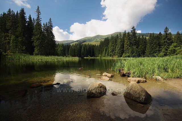 Vrbické pleso