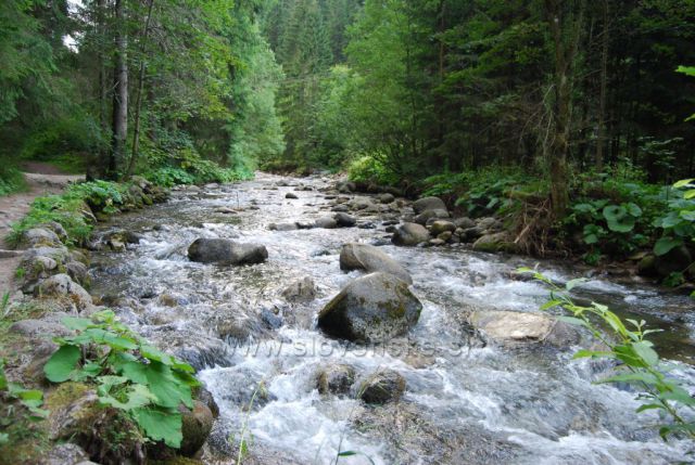 Demänovská dolina a okolí