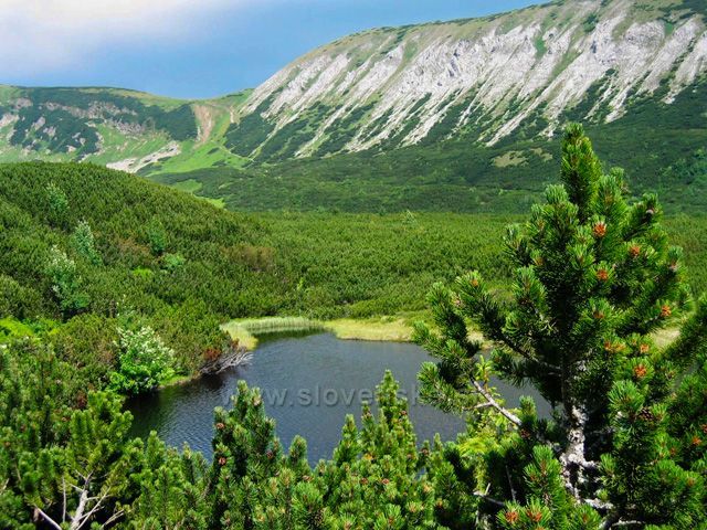 Trojrohé pleso