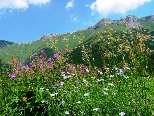 Belianské Tatry