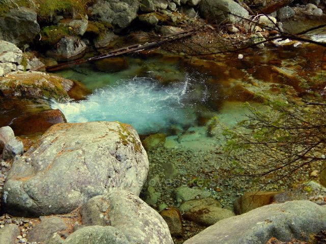 NA ZELENÉ PLESO