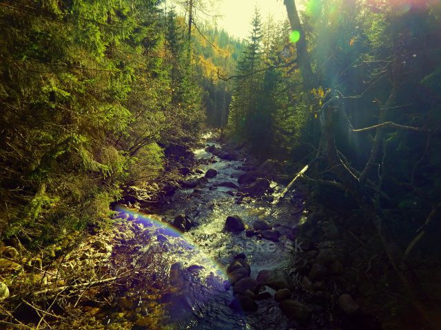 NA ZELENÉ PLESO