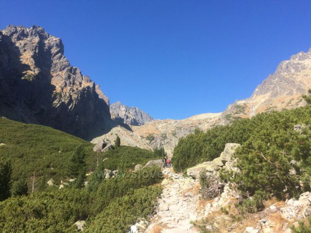 Vysoké Tatry