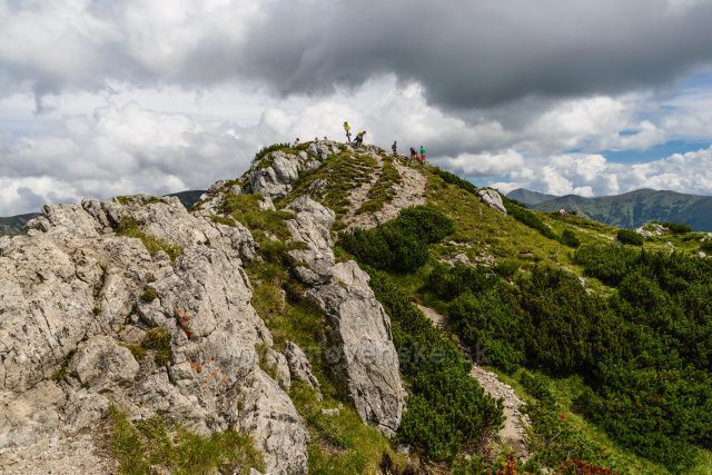 Sivý vrch - vrchol