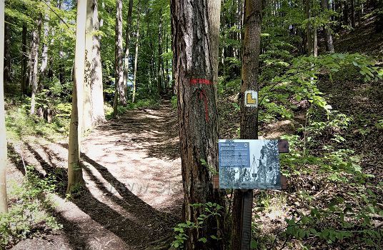 Chodnik na hrad Blatnica