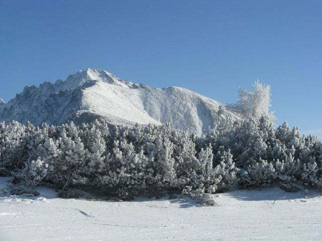 Solisko