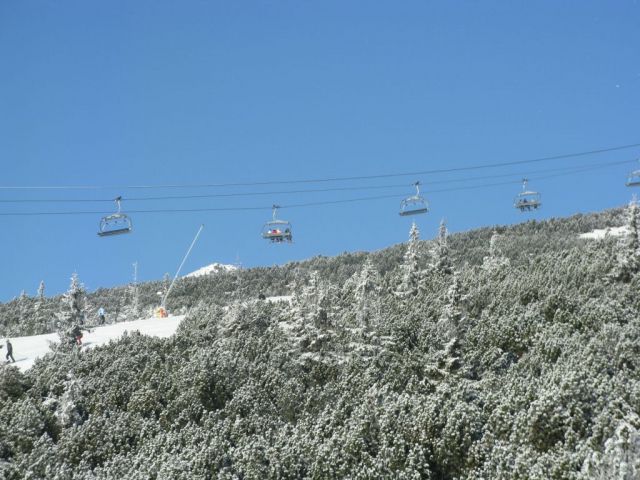 Solisko