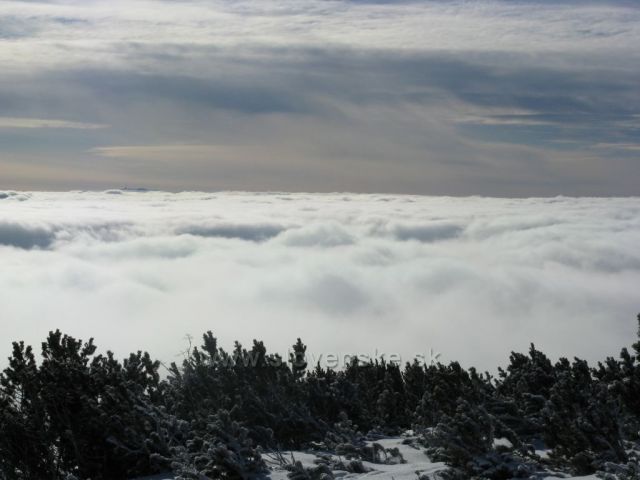 Solisko