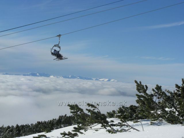 Solisko
