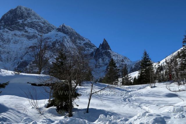 Mnich