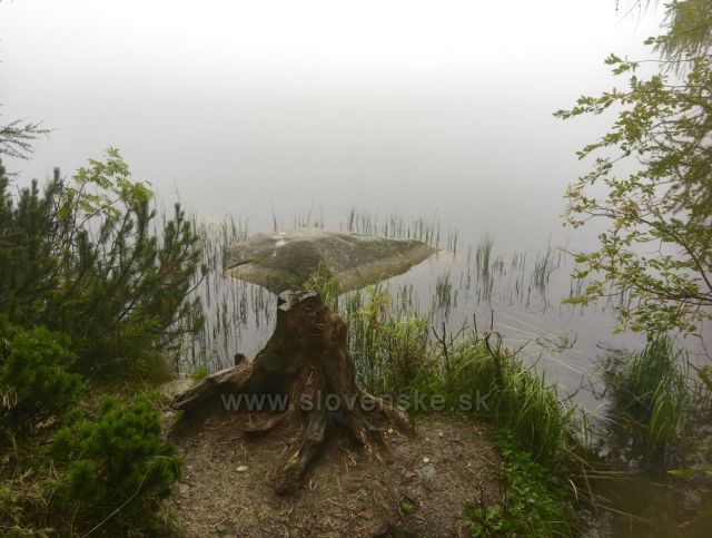 Štrbské pleso v mlze
